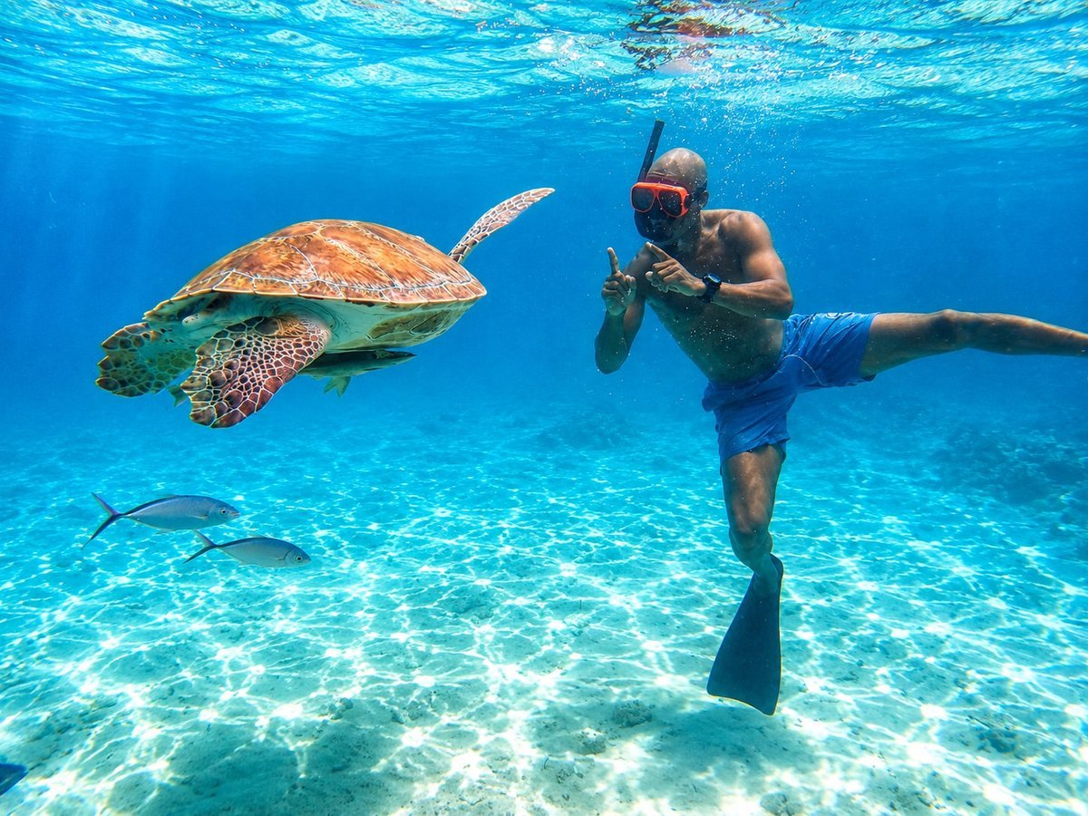 Cayman Adventure Tours snorkeler swimming alongside a green sea turtle over white sand in clear Grand Cayman water