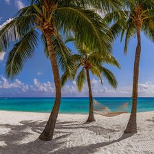 Cayman Adventure Tours packing guide - hammock strung between palm trees on a white sand beach beside calm turquoise water