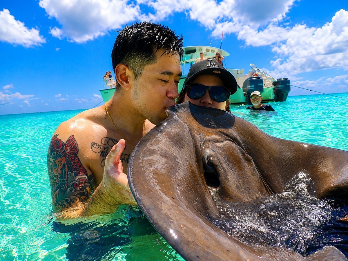 Couple kissing a friendly southern stingray in waist-deep turquoise water at the Stingray City sandbar on a Cayman Adventure Tours excursion in Grand Cayman, tour boat anchored behind them